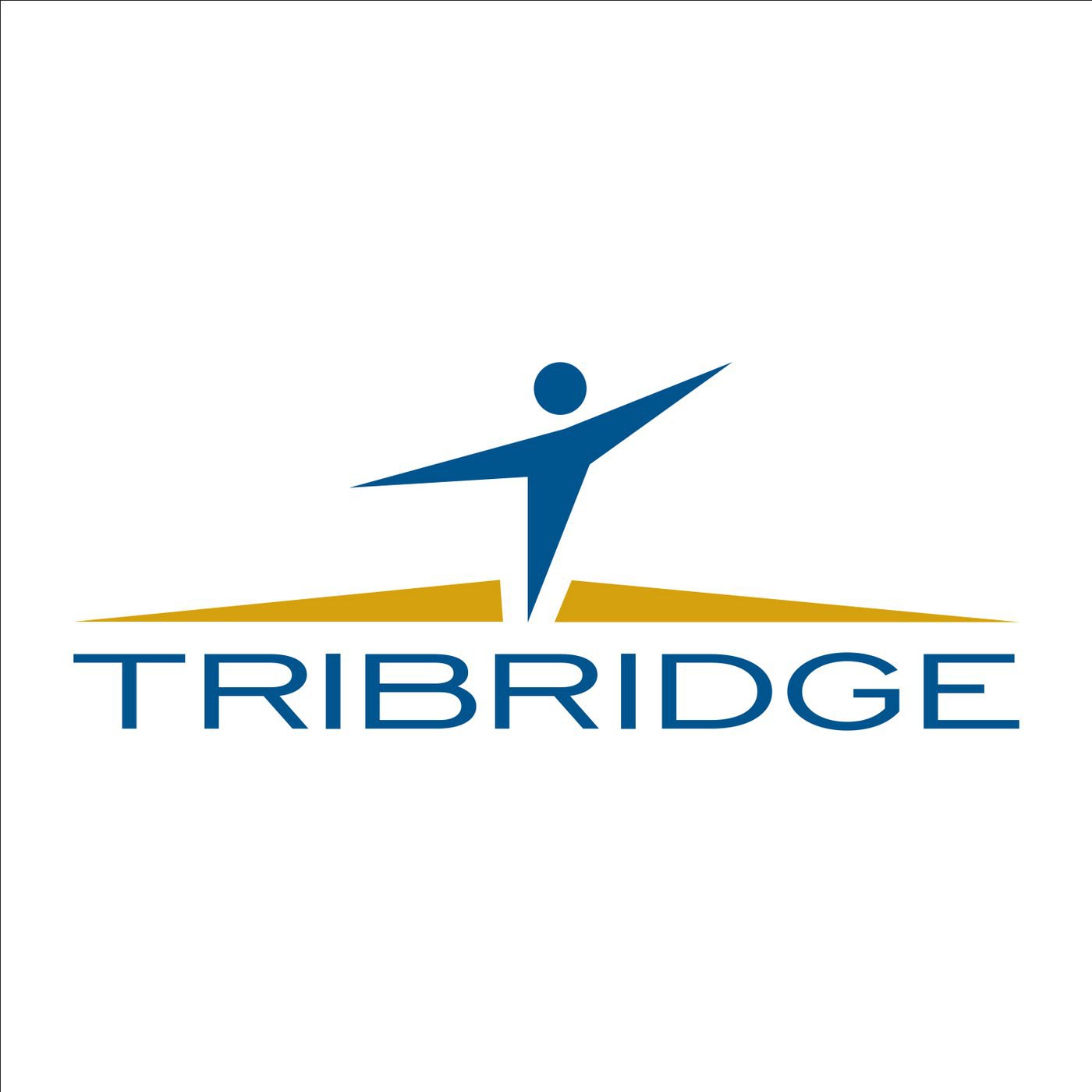 Tribridge 